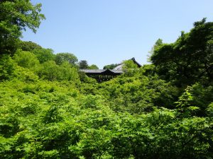 新緑溢れる東福寺